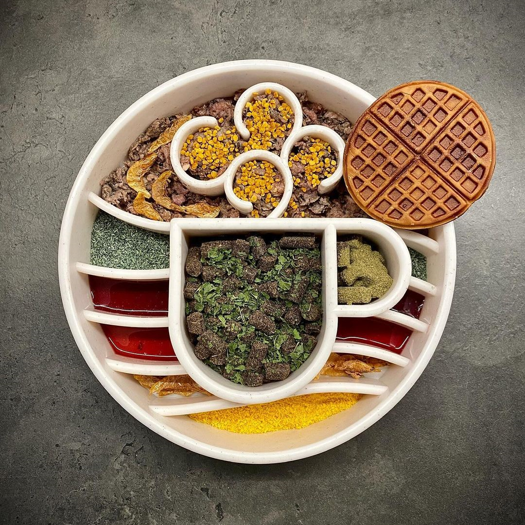 Java Slow Feeder Bowl — Speckled Java bowl shown with a serving; food and other items are not included.