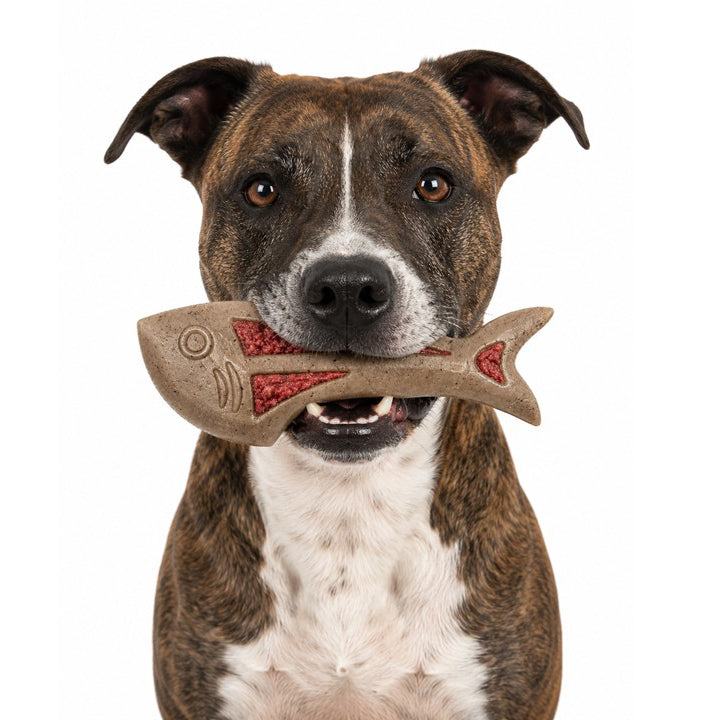 Fish Nylon Chew Toy — Brown Fish nylon toy shown during supervised use.