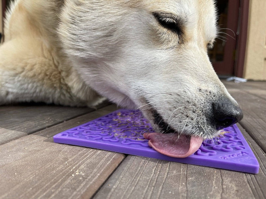 A dog using a Purple Bones Lick Mat
