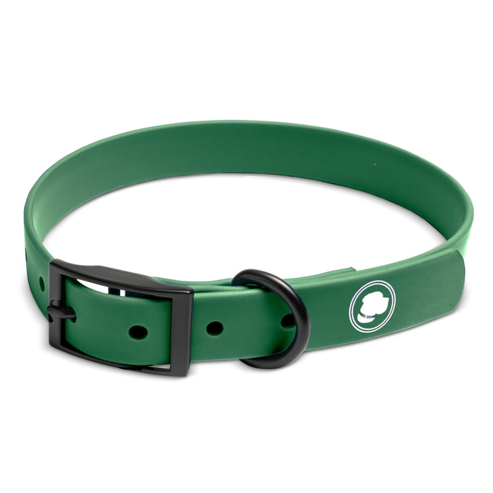 Clover Everyday Collar
