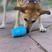 Ice Cream Cone Treat Toy — Large Blue Ice Cream Cone toy shown during supervised use.