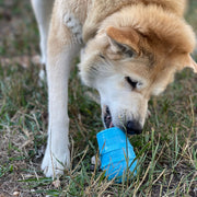 Ice Cream Cone Treat Toy — Large Blue Ice Cream Cone toy shown during supervised use.