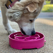 Flower Slow Feeder Bowl — Pink Flower bowl shown in use; food is not included.