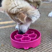 Flower Slow Feeder Bowl — Pink Flower bowl shown in use; food is not included.