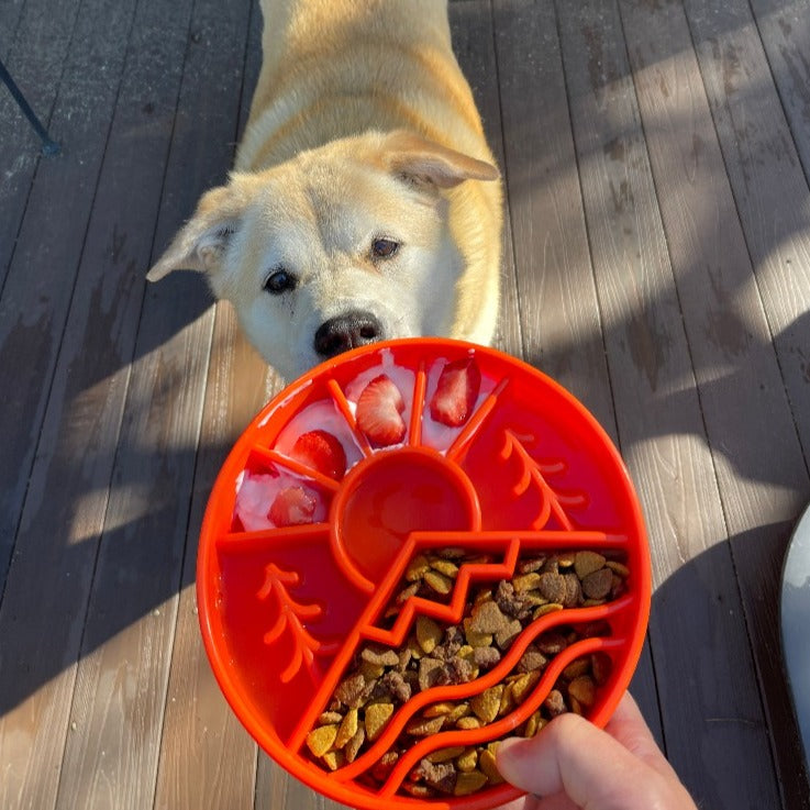 Great Outdoors Slow Feeder Bowl — Orange Great Outdoors bowl shown prepared for a dog; food is not included.