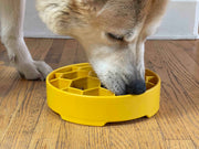 Honeycomb Slow Feeder Bowl — Yellow Honeycomb bowl shown in use; food is not included.