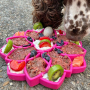 Mandala Feeding Tray — Pink Mandala tray shown in use; food is not included.