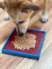 Suction Holder for Bowls & Mats — Light Blue suction holder shown in use with a mat; the mat and food are not included.