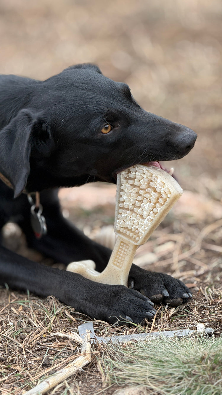 Waffle Tower Nylon Chew Toy — Waffle Tower nylon toy shown in use with a filling; food is not included.