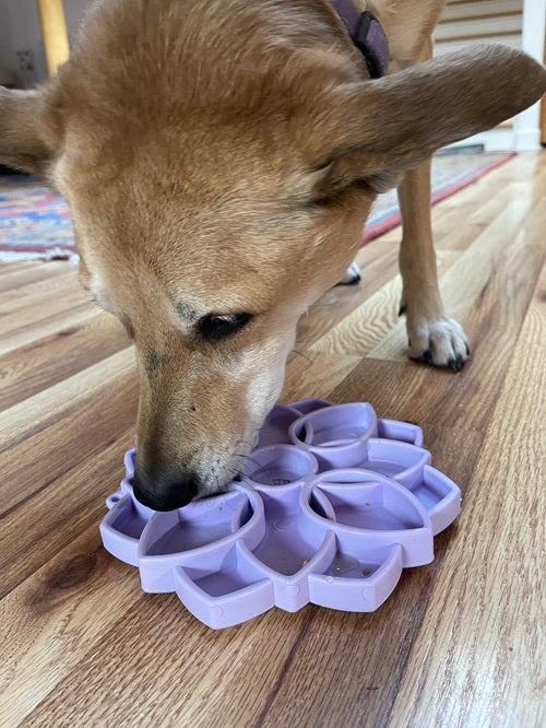 Mandala Soft Feeding Tray — Pastel Purple Mandala Soft tray shown in use; food is not included.