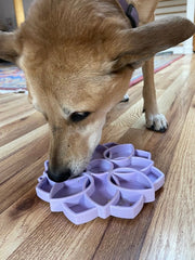 Mandala Soft Feeding Tray — Pastel Purple Mandala Soft tray shown in use; food is not included.