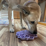 Mandala Soft Feeding Tray — Pastel Purple Mandala Soft tray shown in use; food is not included.