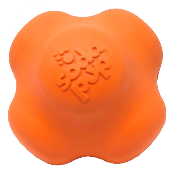 Crazy Bounce Fetch Toy