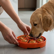 Citrus Soft Feeding Tray — Orange Citrus tray shown in use.