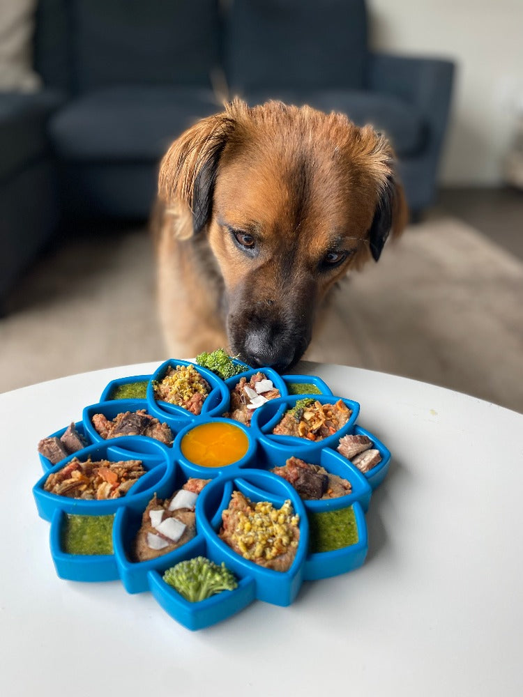 Mandala Feeding Tray — Blue Mandala tray shown in use; food is not included.