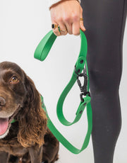 Clover Everyday Leash