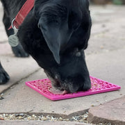 Jigsaw Lick Mat — Pink Jigsaw mat shown in use; food is not included.