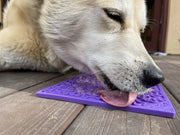Bones Lick Mat — Purple Bones mat shown in use; food is not included.