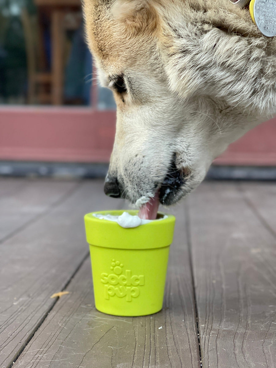 A dog using a Green Flower Pot Treat Cup